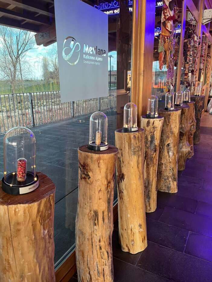 konyanin-binlerce-yillik-tohumlari-yeniden-filizleniyor