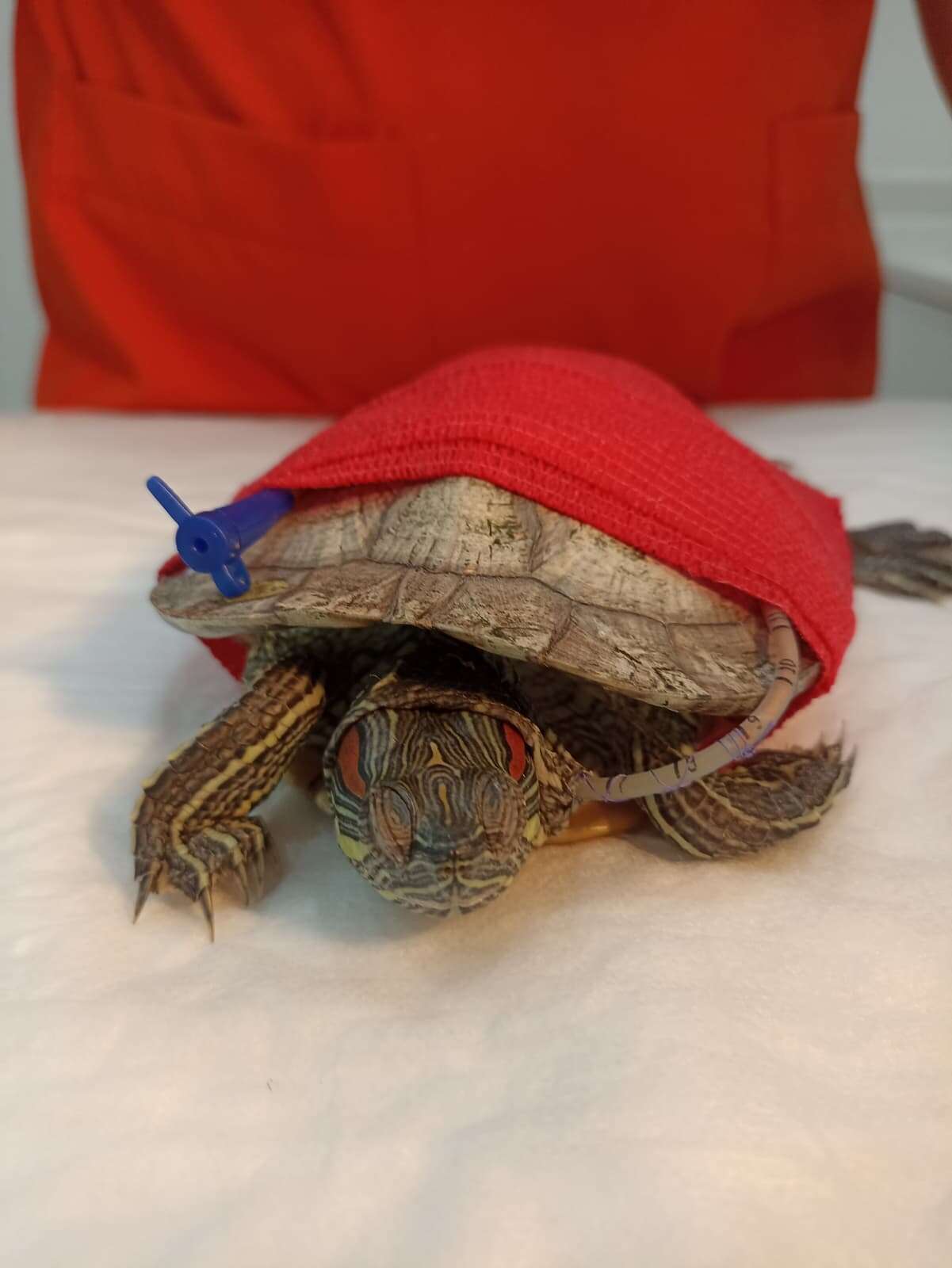 konyada-minik-cana-buyuk-dokunus-kritik-mudahaleyle-hayata-tutundu