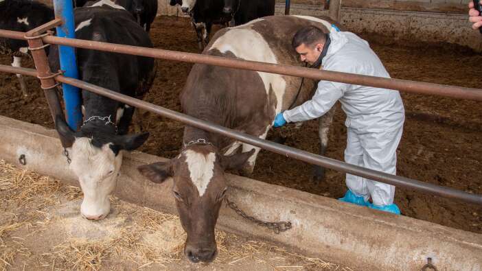 selcuk-universitesi-konyada-iyilik-ve-saglik-dagitmaya-devam-ediyor