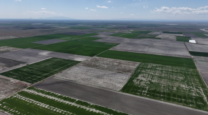 konya-ovasindaki-son-yagislar-ciftciyi-umutlandirdi