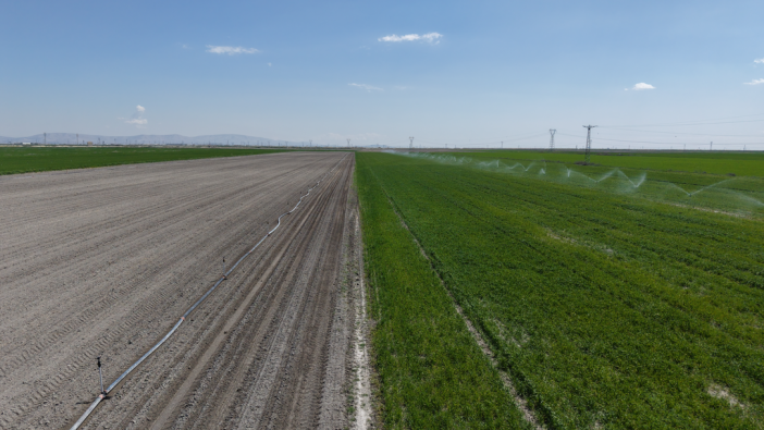 konya-ovasindaki-son-yagislar-ciftciyi-umutlandirdi