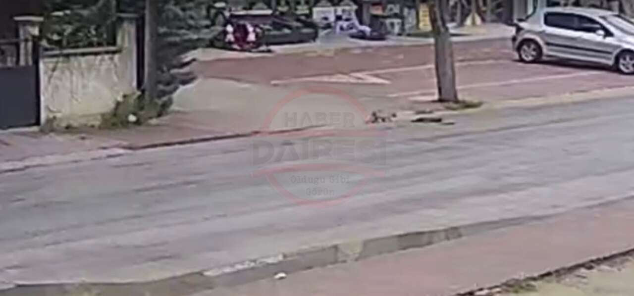 konyada-vicdanlari-sizlatan-goruntu-kediye-carpip-kacti