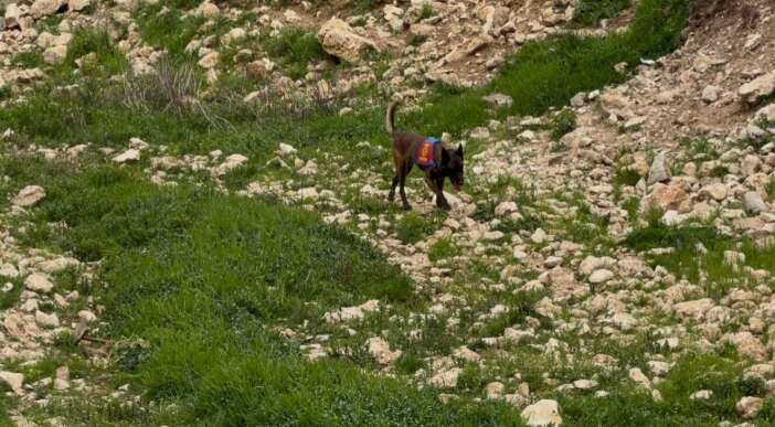 gulistan-dokunun-cesedini-bulmak-icin-genis-capli-arama-baslatildi