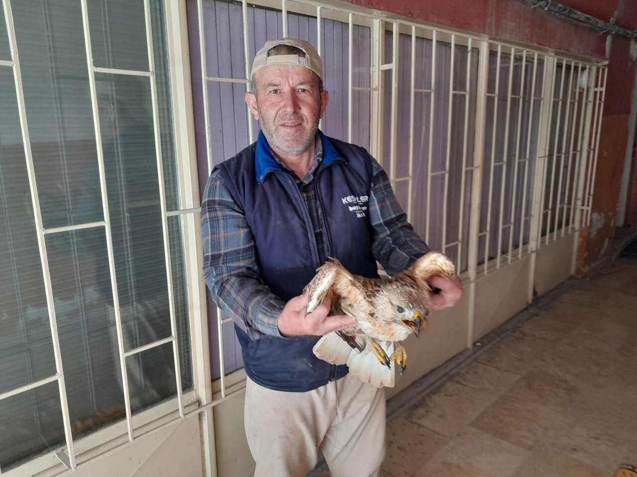 konyada-yarali-kizil-sahin-ciftcinin-dikkatiyle-kurtarildi