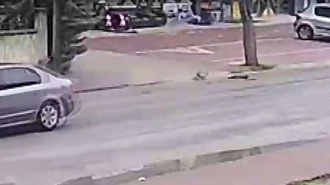 konyada-yurek-yakan-kaza-olen-annesinin-basindan-ayrilmadi