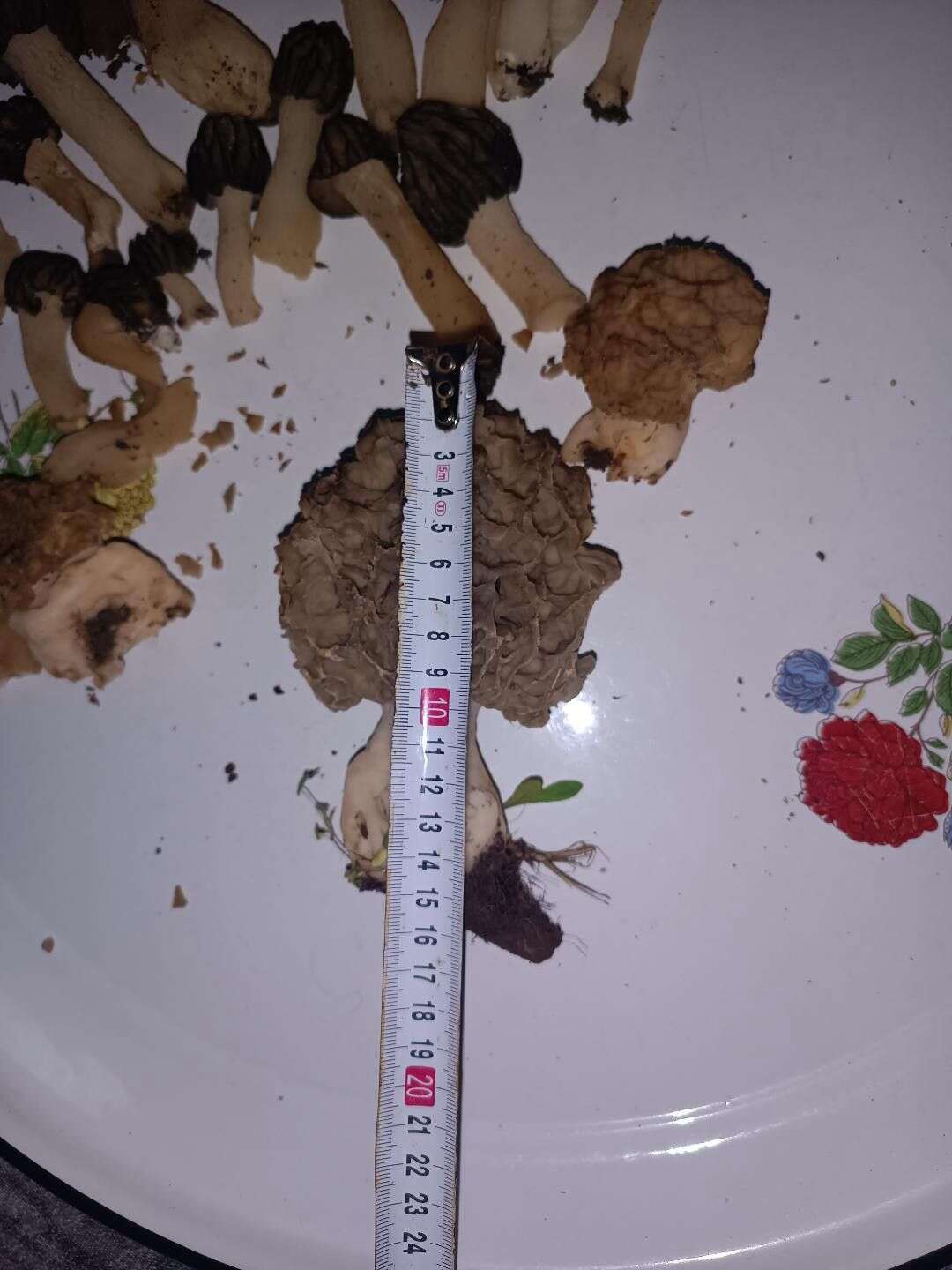 konyanin-cok-yagis-alan-ilcesinde-bulundu-bereketli-sezonun-simgesi-oldu