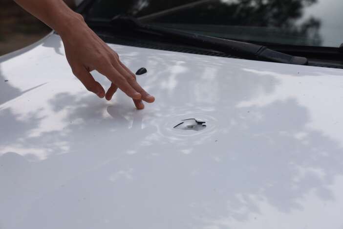 bahcede-otururken-duydugu-sese-kostu-arabasini-gorunce-sok-oldu