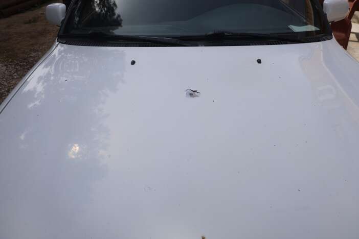 bahcede-otururken-duydugu-sese-kostu-arabasini-gorunce-sok-oldu