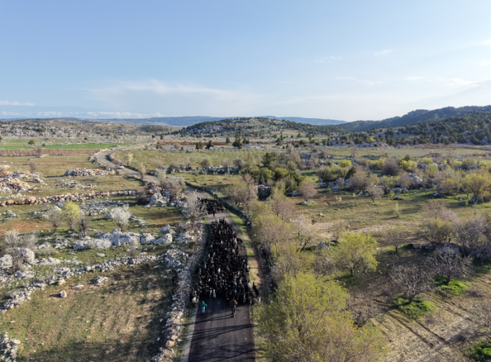 yoruklerin-yaz-yurdu-konyaya-gocu-basladi