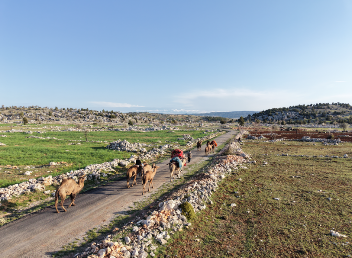 yoruklerin-yaz-yurdu-konyaya-gocu-basladi