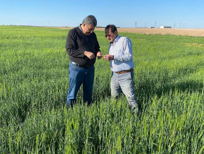 konyada-uretici-teyakkuzda-mayis-yagislari-oncesi-ekim-icin-kritik-uyari-geldi