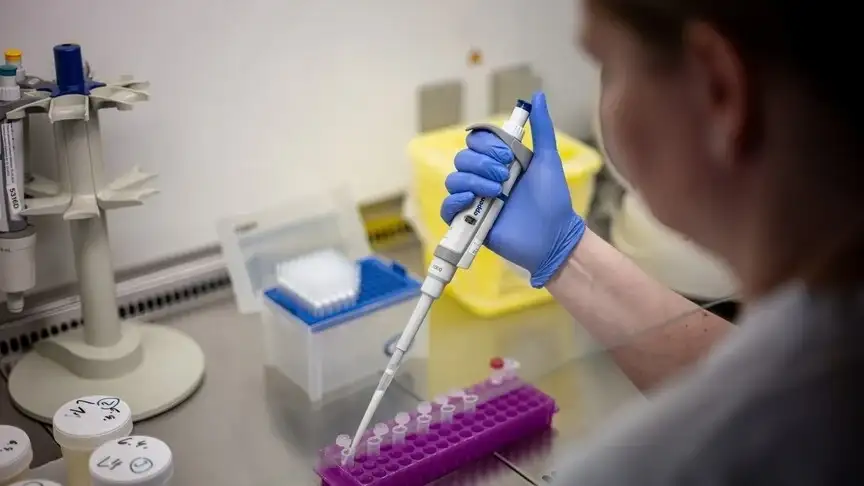 hantavirus-nedir-nasil-bulasir