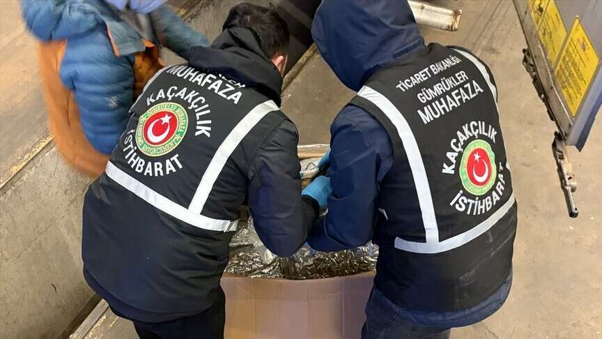 gumruklerde-kacakciliga-agir-darbe-659-kilo-uyusturucu-ele-gecirildi