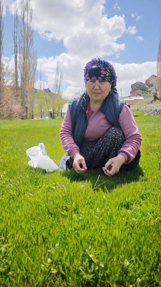sezon-acildi-jiletle-tek-tek-toplaniyor-kilosu-200-tl