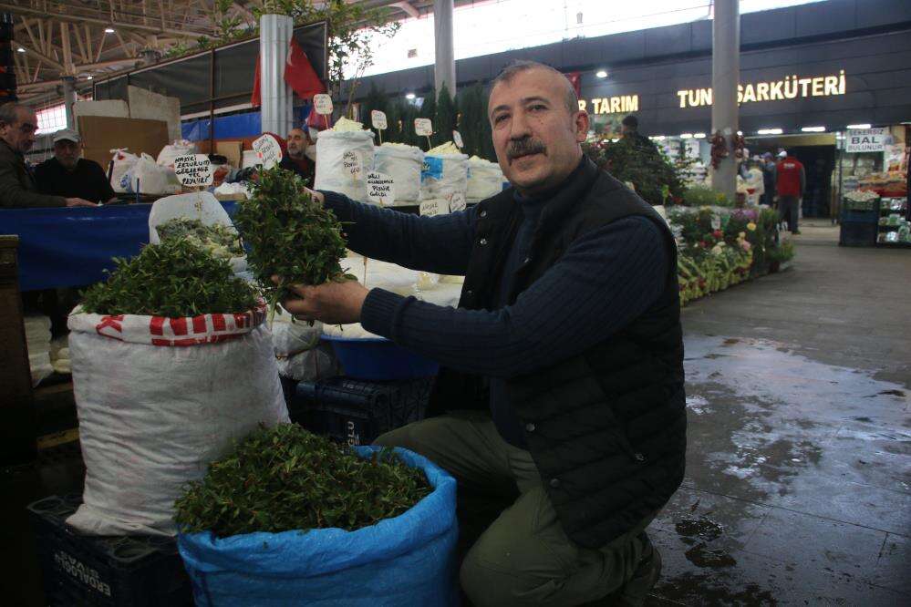 sezon-acildi-jiletle-tek-tek-toplaniyor-kilosu-200-tl