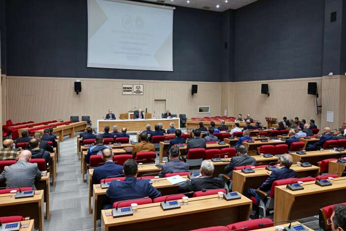 konyada-sahipsiz-hayvanlar-icin-kritik-toplanti