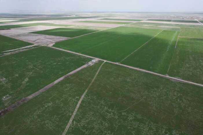 bereketle-cosan-konya-ciftcisini-yeni-bir-korku-sardi