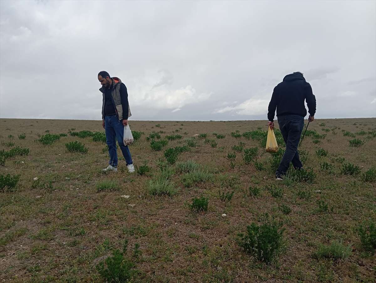 kilosu-1700-liraya-dayandi-konyada-eline-sopayi-alan-dag-tas-geziyor
