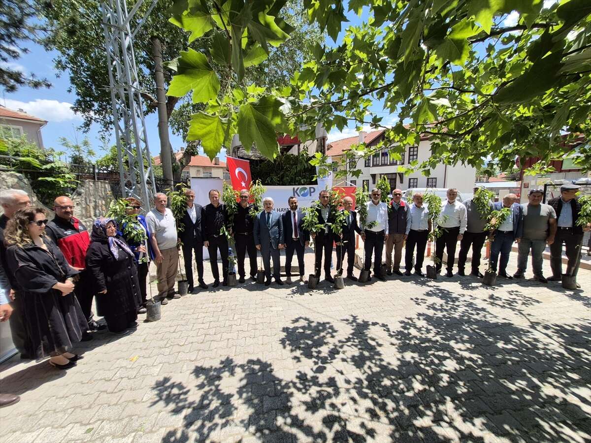 aksehirin-tescilli-kirazi-icin-yeni-donem-bahceler-genclesecek