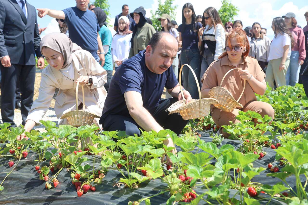 baskan-altay-iki-ilcede-vatandasla-bulustu-esnafi-gezdi-genclerle-cilek-topladi