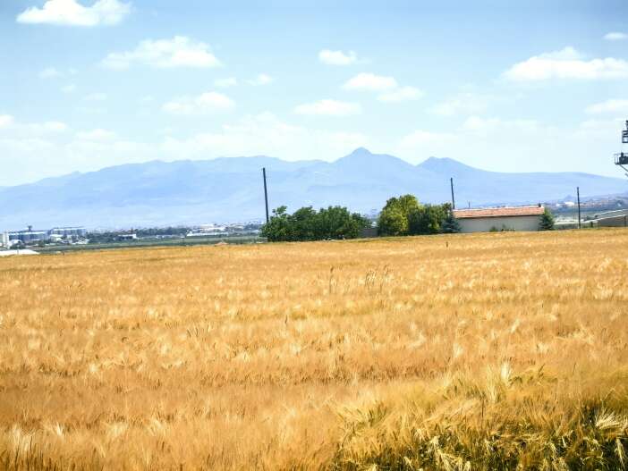 konya-ovasinin-rengi-berekete-donmeye-basladi