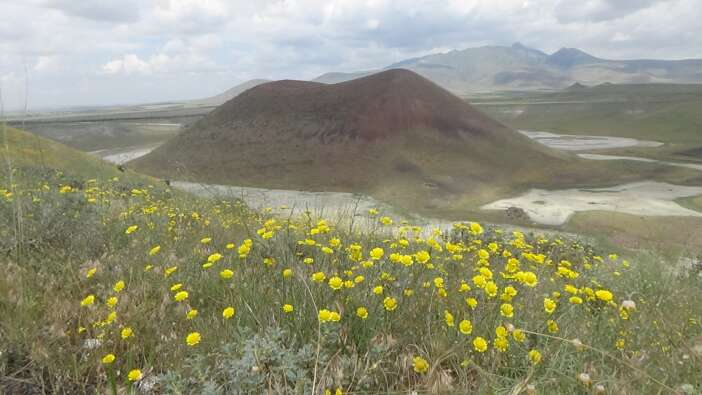 etrafi-cicekler-sardi-ici-bombos-yagislar-konyanin-doga-harikasina-yaramadi