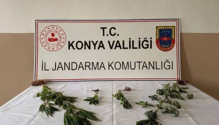 konyada-jandarmanin-zehir-taciri-bilancosu-aciklandi