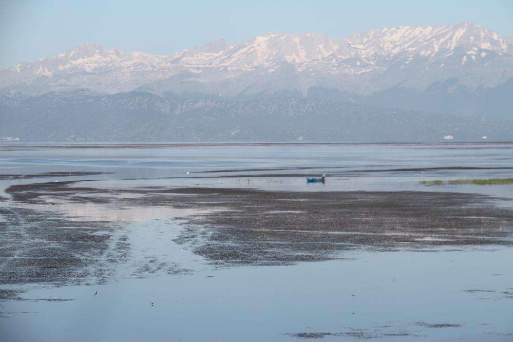 konyada-sezonun-ilk-baliklari-tezgahta-yerini-aldi