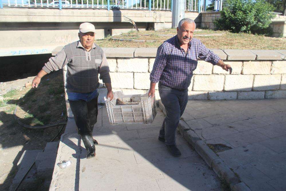 konyada-sezonun-ilk-baliklari-tezgahta-yerini-aldi