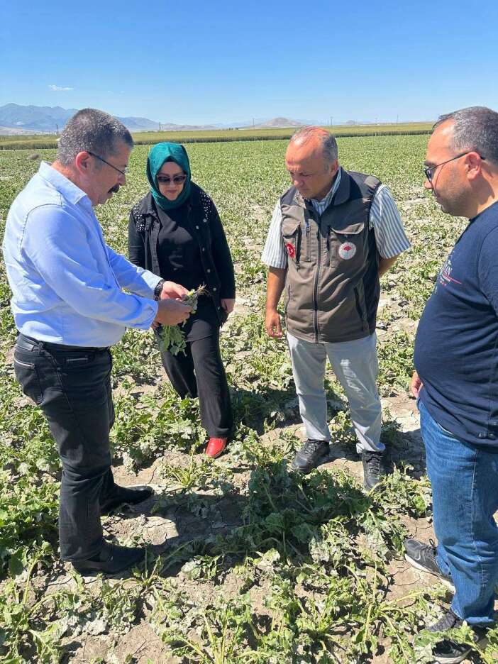 konyanin-tarim-kenti-ilcesinde-dolu-agir-yara-acti