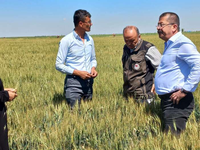 konyanin-tarim-kenti-ilcesinde-dolu-agir-yara-acti