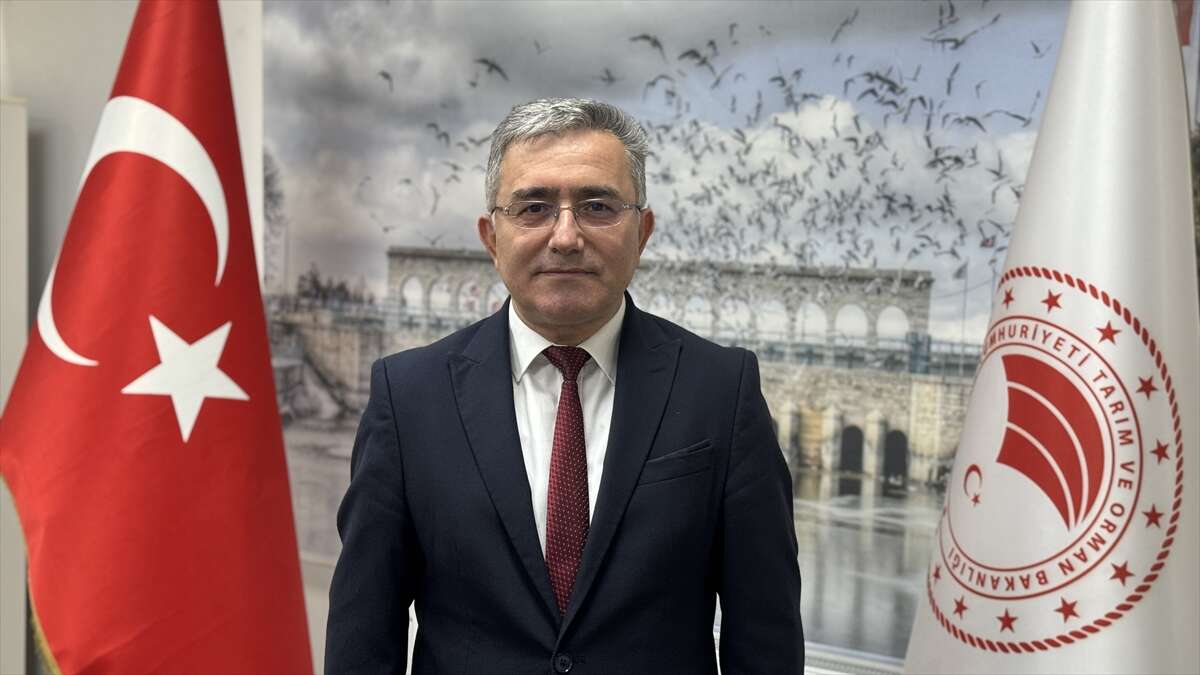 yagislar-konyada-dogayi-yeniden-canlandirdi-153-bin-su-kusu-tespit-edildi