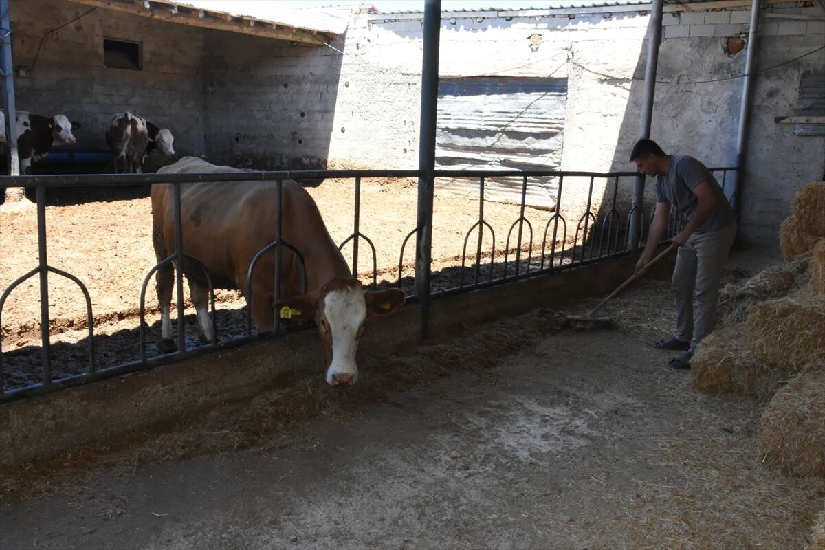 konyada-devlet-destegiyle-kurdugu-ciftlikte-her-gun-yuzlerce-litre-sut-uretiyor