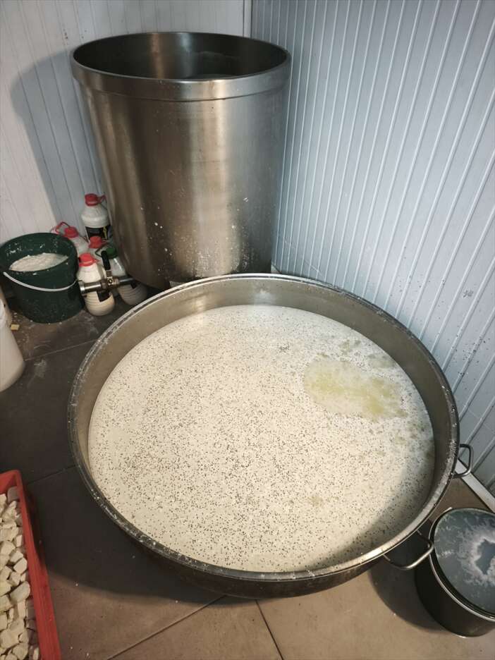 yakalanmasalar-9-ton-bozuk-sut-urununu-vatandas-yiyecekti