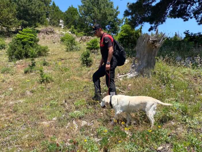 daglik-arazide-sirra-kadem-basti-konyada-ekipler-4-gundur-firdevs-uneri-ariyor