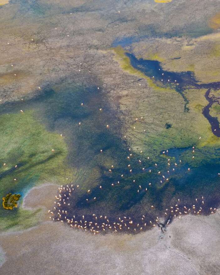 konyada-pembe-solen-duden-golu-flamingolarla-renklendi