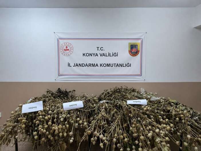 konyada-kenevir-mevsimi-jandarma-goz-actirmiyor