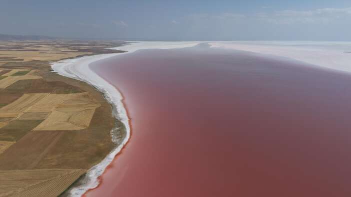 flamingolarin-pembe-sirri-tuz-golunde-sakli-konyada-uzmani-acikladi