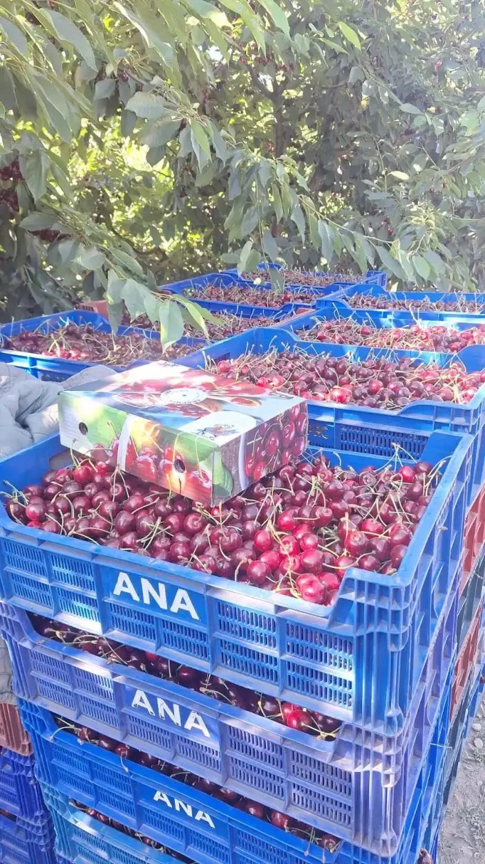 konyada-ismet-pasa-donemi-basladi-napolyonun-tahti-sallaniyor
