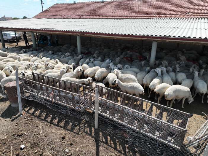 konyali-ciftcinin-cebi-rahatladi-buyuksehir-31-ilcede-tamamen-ucretsiz-yapti