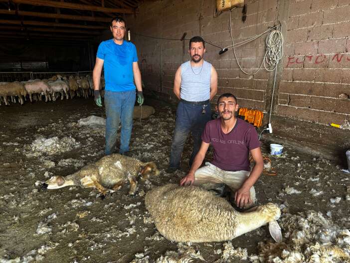 konyali-ciftcinin-cebi-rahatladi-buyuksehir-31-ilcede-tamamen-ucretsiz-yapti