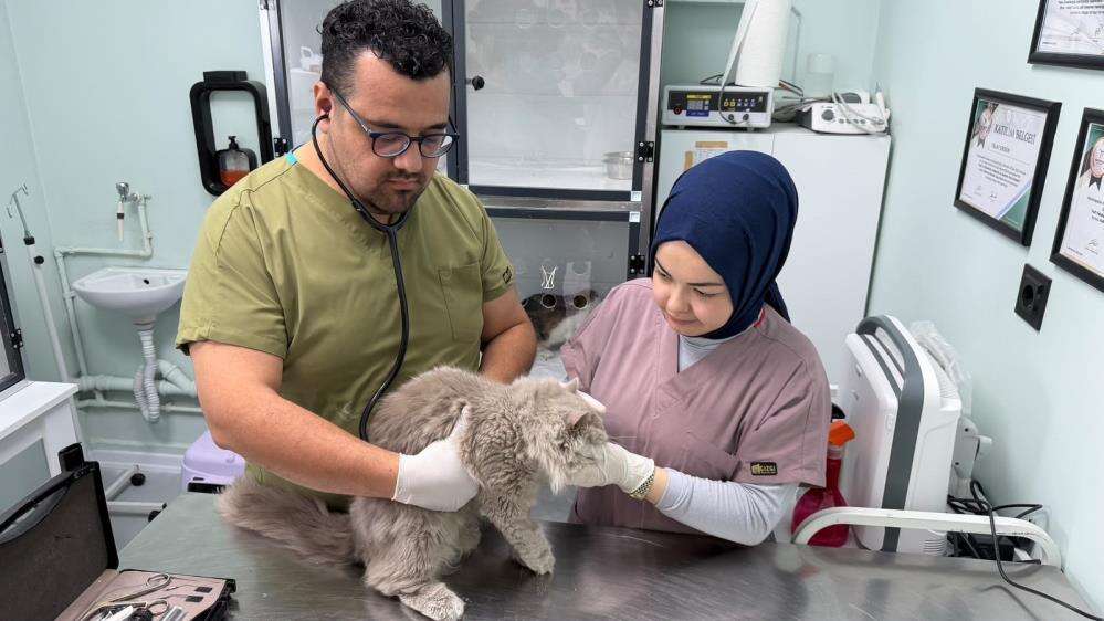 kisirlastirilmak-icin-getirilen-kedi-veteriner-klinigini-savas-alanina-cevirdi