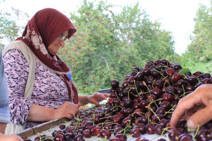 konyanin-tescilli-lezzeti-dunya-sofralarinda-smoothie-sektorunun-vazgecilmezi-oldu
