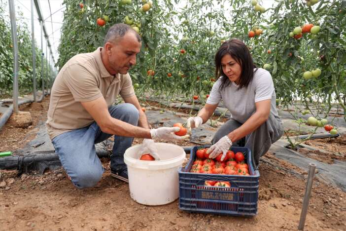13-yillik-tecrubesini-memleketi-konyaya-tasidi-2-donumden-tonlarca-verim-aldi