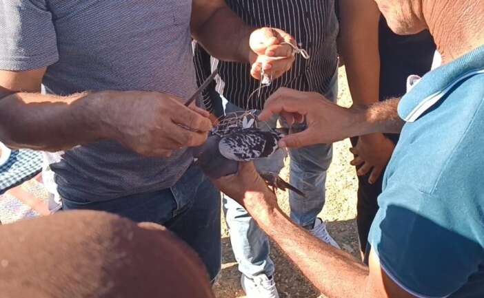 konya-yolunda-vicdan-kazandi-ali-gulden-alkislanacak-hareket
