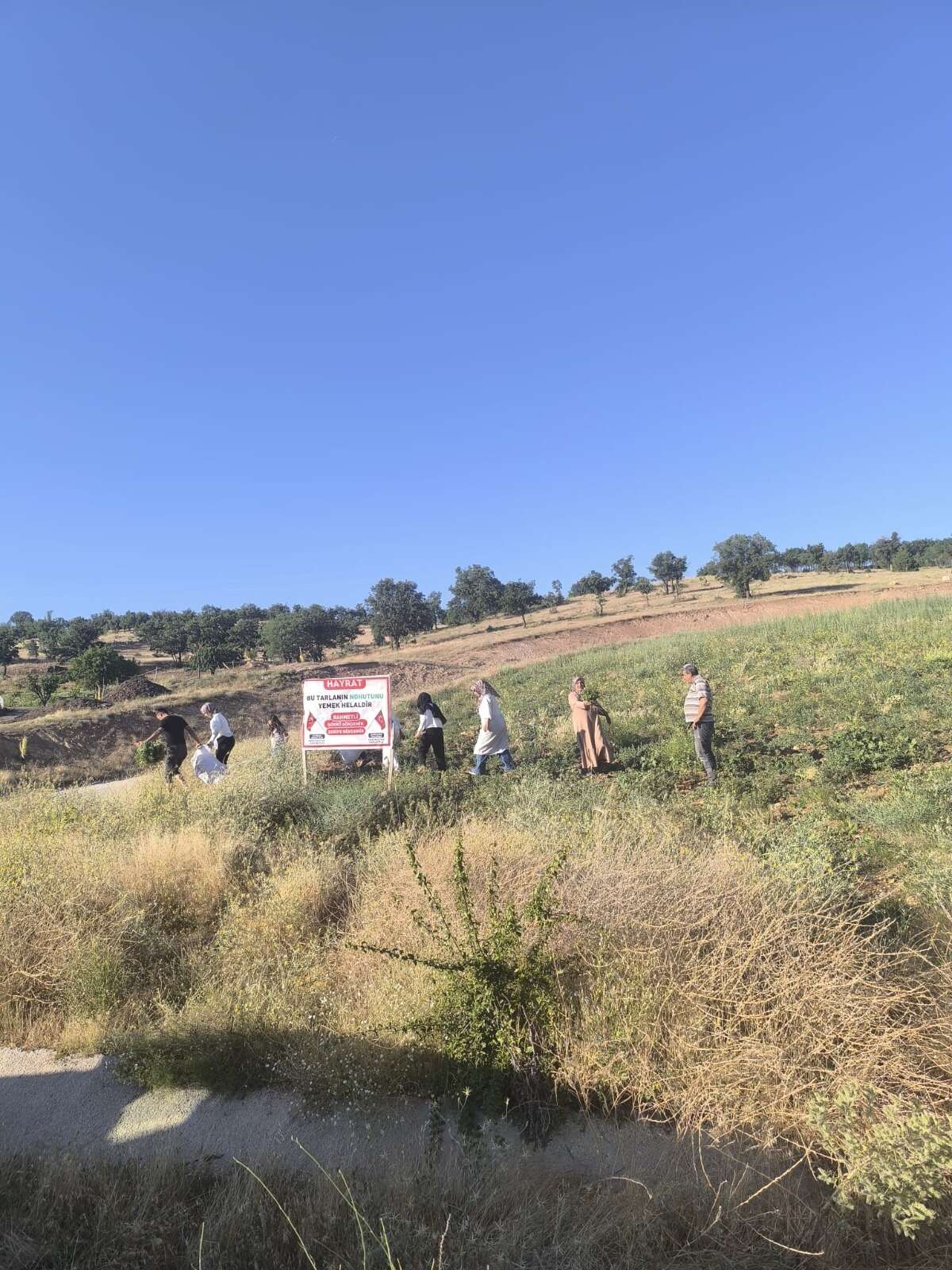 konyadan-gecerken-goren-aracini-durduruyor-tarlayi-halka-acti