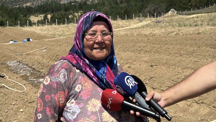 650-bin-liralik-baharat-topraga-indi-3-ay-sonra-servet-toplanacak