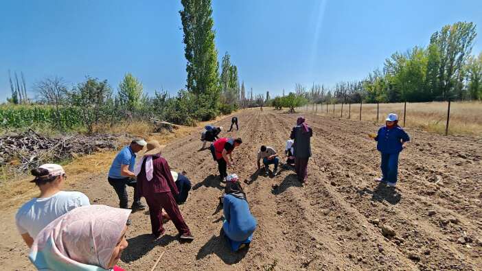 artik-konya-da-uretecek-grami-bile-servet-degerinde-safran