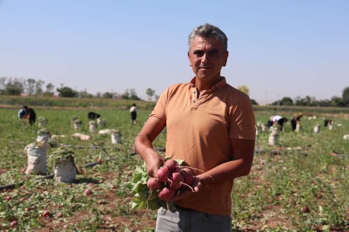 konyada-kirmizi-hasat-basladi-az-su-istiyor-45-gunde-yetisiyor