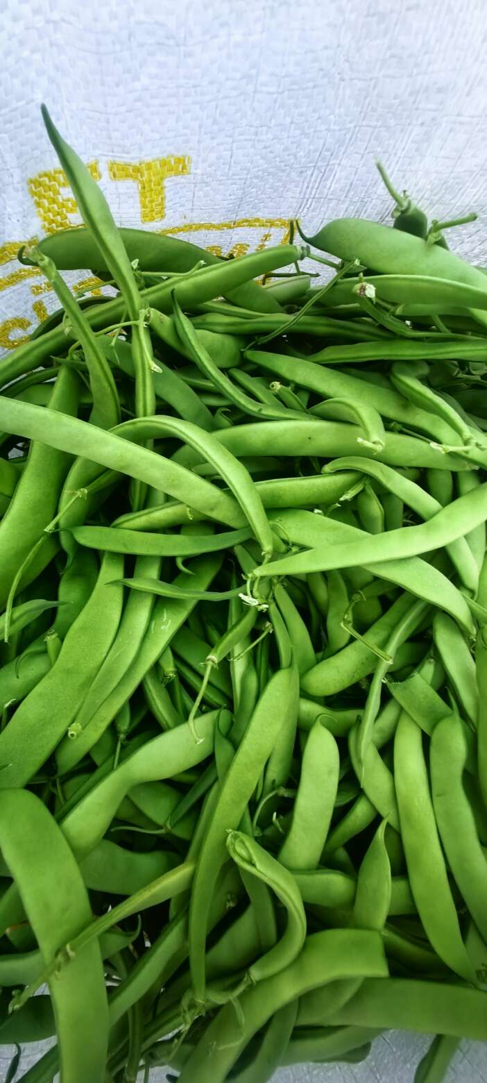 konyada-tarlada-isler-karisti-ureticinin-hesabi-sasti